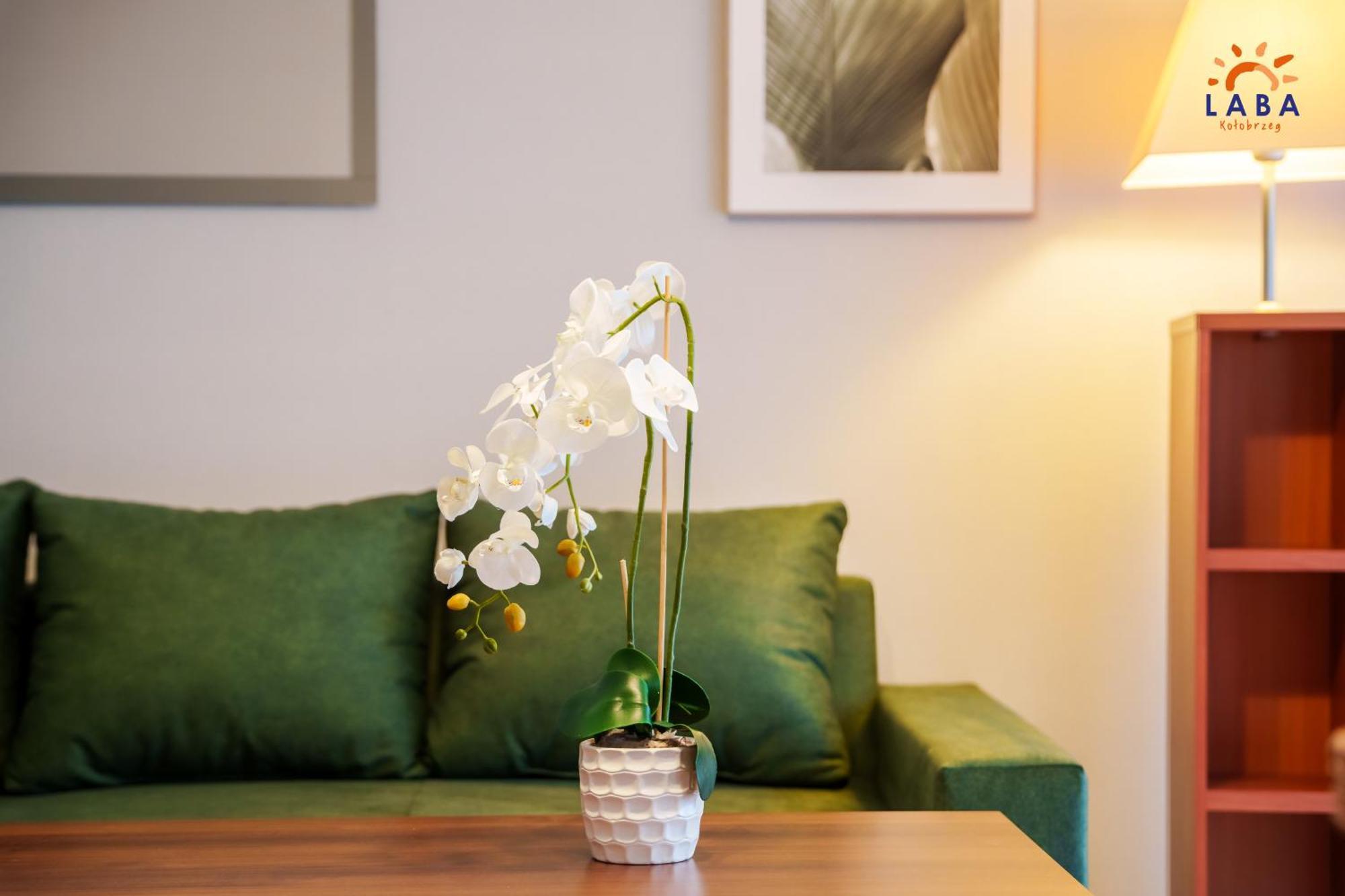 Laba Kolobrzeg Apartamenty Zielone Tarasy エクステリア 写真